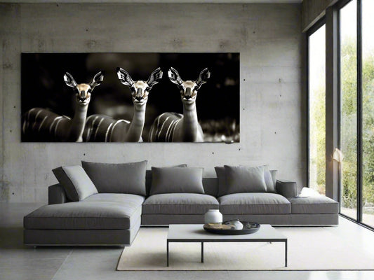 All Eyes on You | Antelope Wall Art | Limited Edition | Wallimals