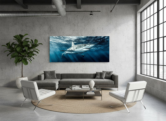 Appearance Is Everything | Shark Wall Art | Limited Edition | Wallimals