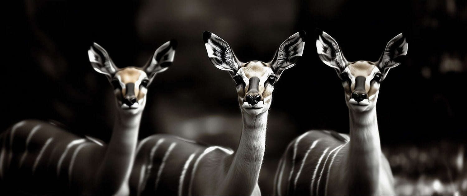 Deer animal wall art