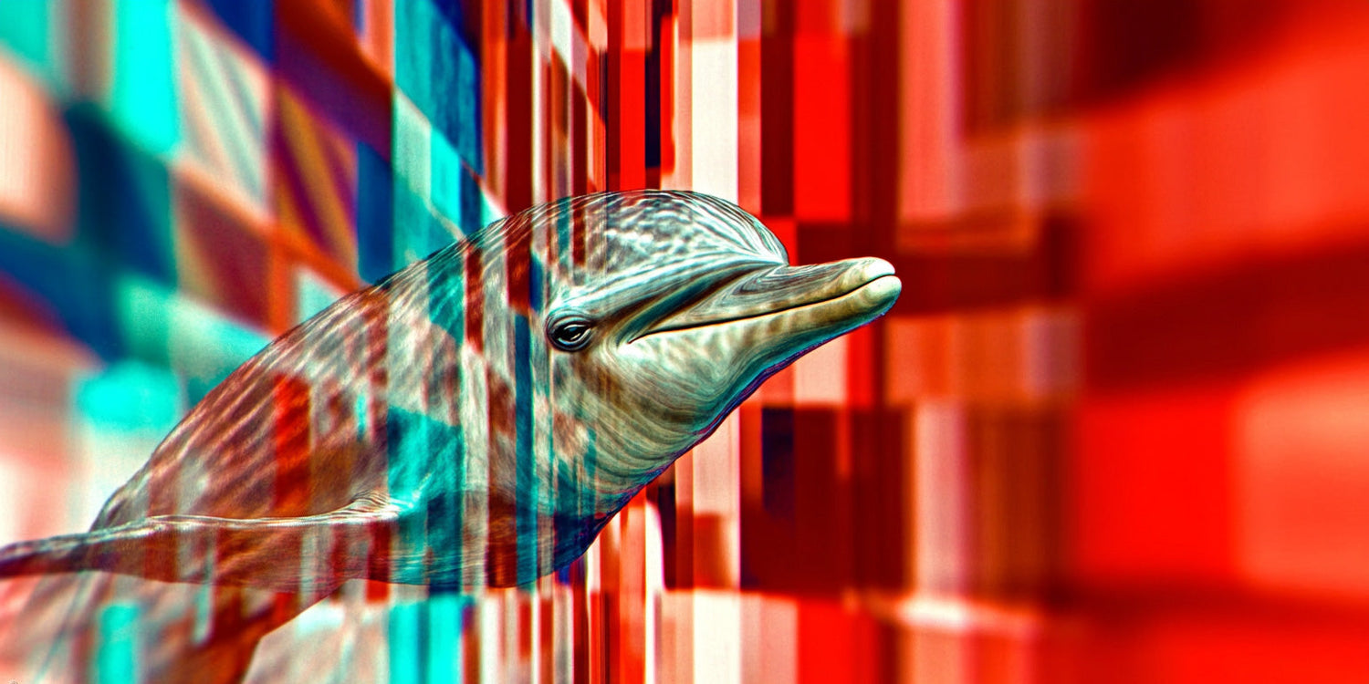 dolphin marine animal wall art