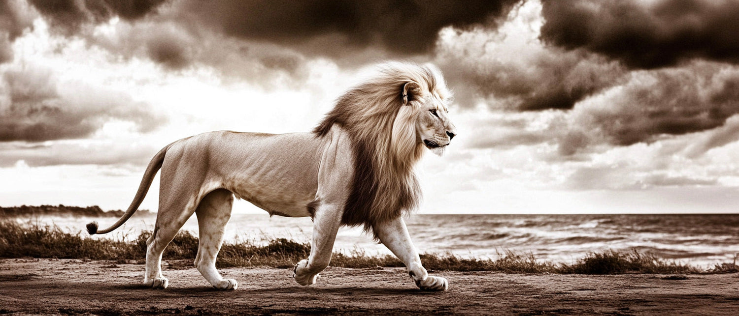 lion big-cat wall art