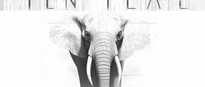 Calculated Strength | Elephant Wall Art | Limited Edition | Wild Essence