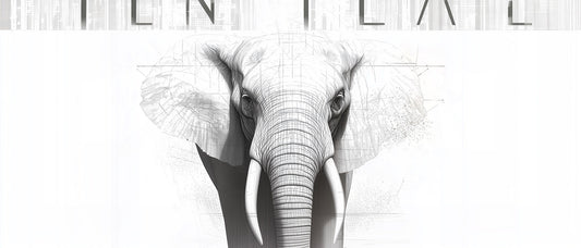 Calculated Strength | Elephant Wall Art | Limited Edition | Wild Essence
