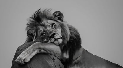 Majestic Recharge | Monochrome Lion Wall Art | Limited Edition | Wild Essence