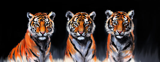 Pay Attention | Tiger Wall Art | Limited Edition | Wallimals
