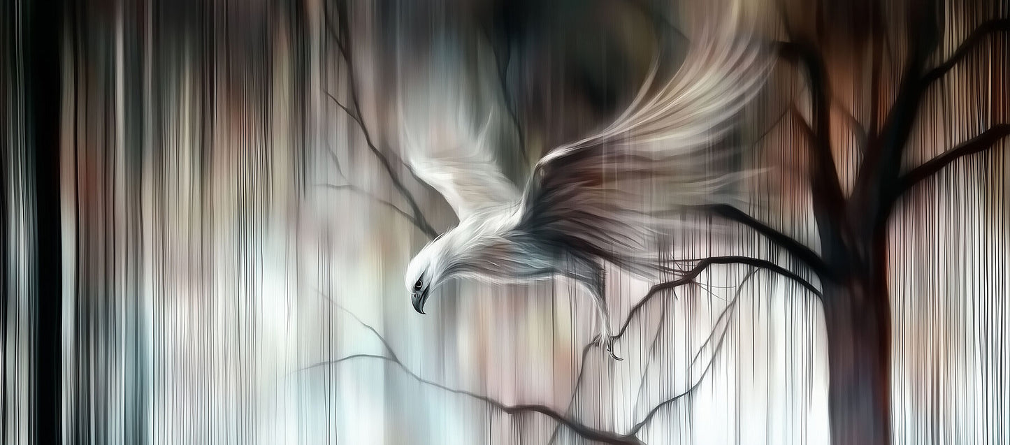 Stormy Feathers | Eagle Wall Art | Limited Edition | Wallimals
