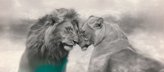 That Forever One | Lion Wall Art | Limited Edition | Wild Essence