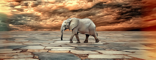 The Journey, Not the Destination | Elephant Wall Art | Limited Edition | Wallimals