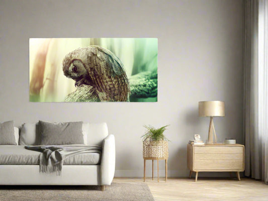 Time Out | Owl Wall Art | Limited Edition | Wallimals