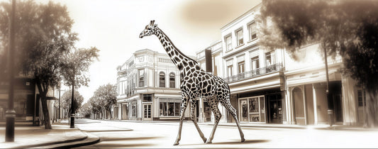 Timeless Stroll | Giraffe Wall Art | Limited Edition | Wallimals