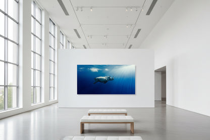 Oversized blue underwater rhinoceros wall art, 300 × 150 cm limited edition fine art print for modern luxury interiors and architectural spaces, shown in art gallery setting
