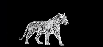 Vital Principle | Tiger Wall Art | Limited Edition | Wallimals