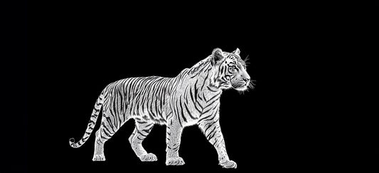 Vital Principle | Tiger Wall Art | Limited Edition | Wallimals