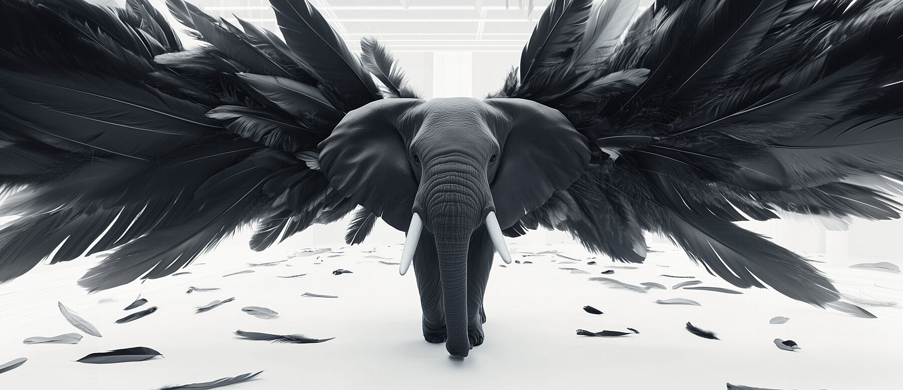When Elephants Can Fly | Elephant Wall Art | Limited Edition | Wallimals
