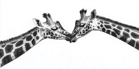 When You Fall in Love | Giraffe Wall Art | Limited Edition | Wallimals